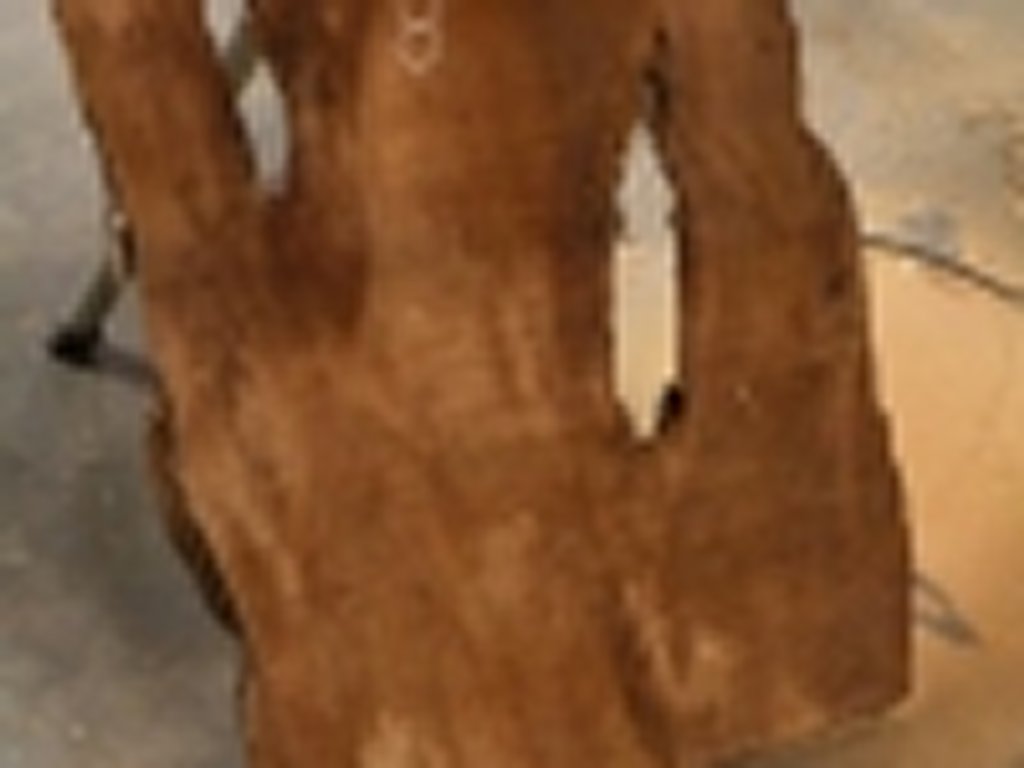 Dscn5429