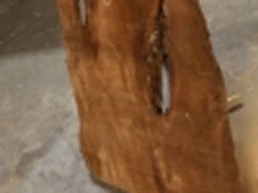 Dscn5431