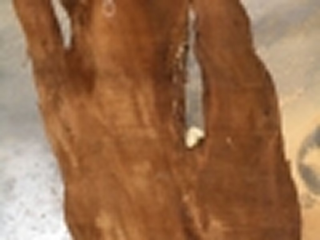 Dscn5432