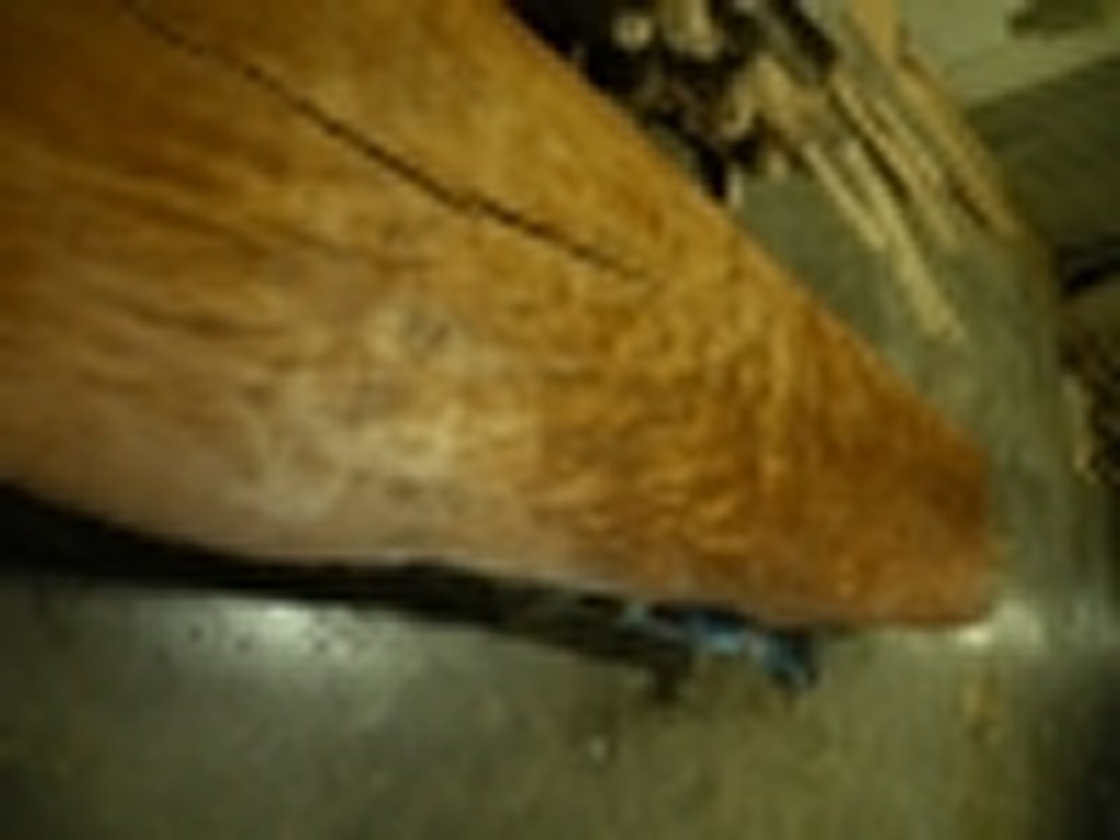 Dscn6672