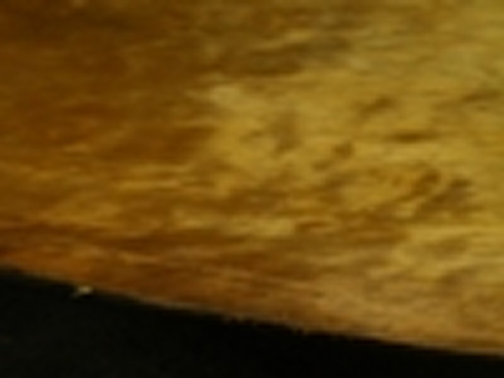 Dscn6674