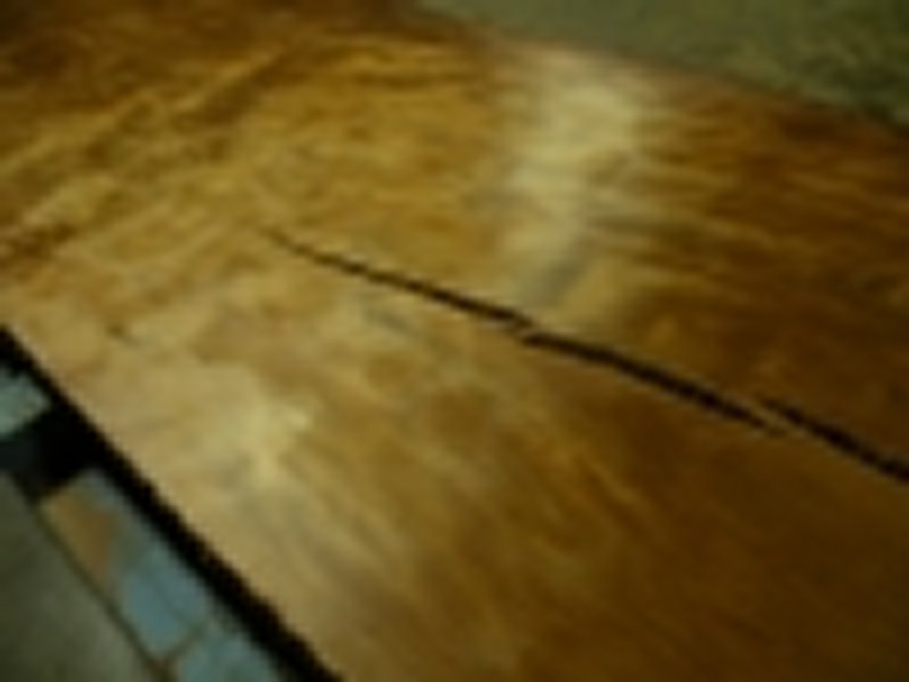 Dscn6677