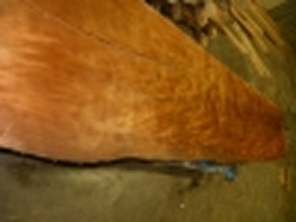 Dscn6681