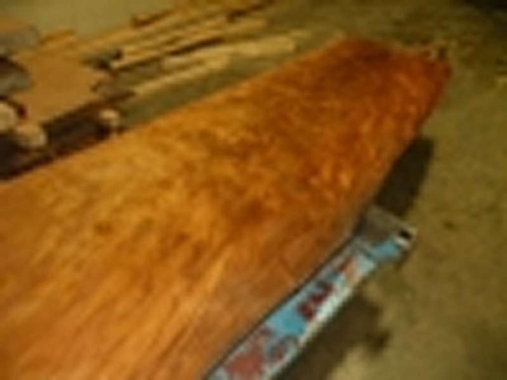 Dscn6683