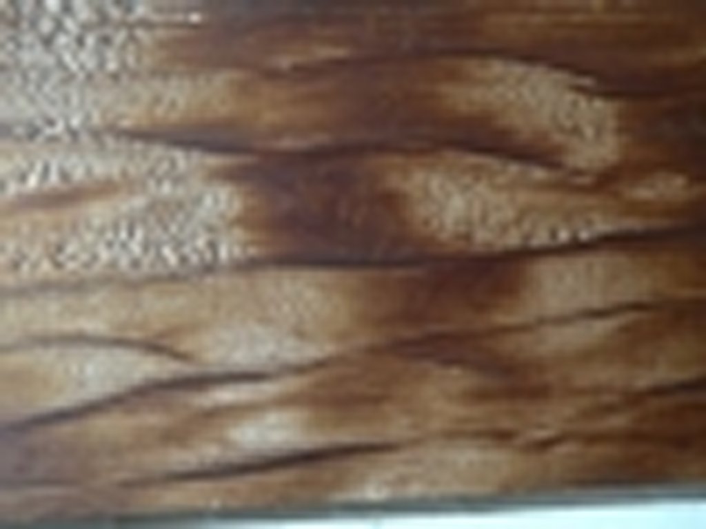 Dscn0675