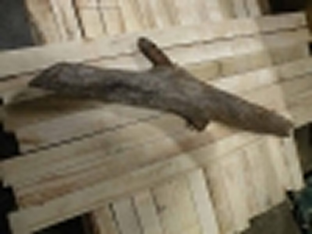 Roots-2011-1