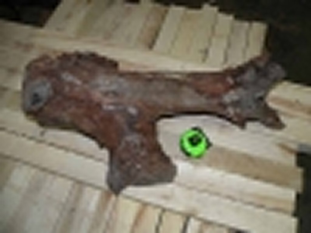 Roots-2011-12