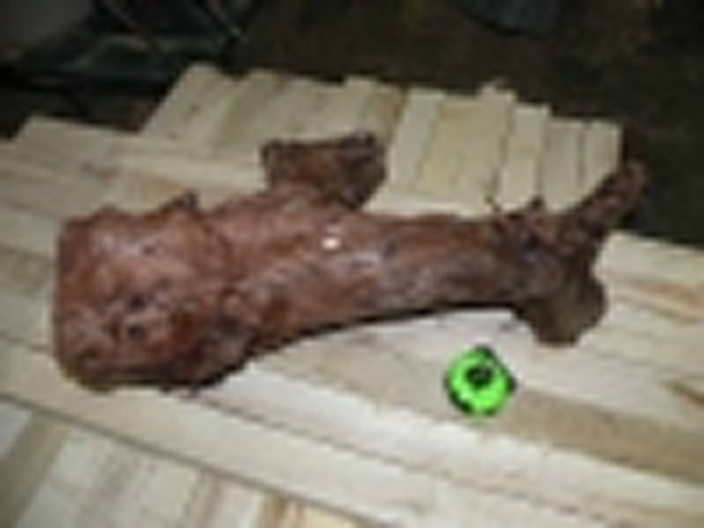 Roots-2011-13