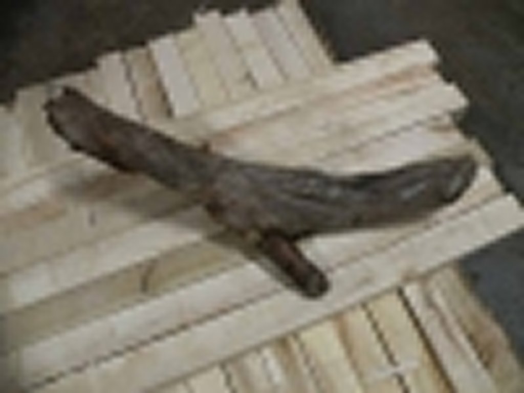 Roots-2011-2