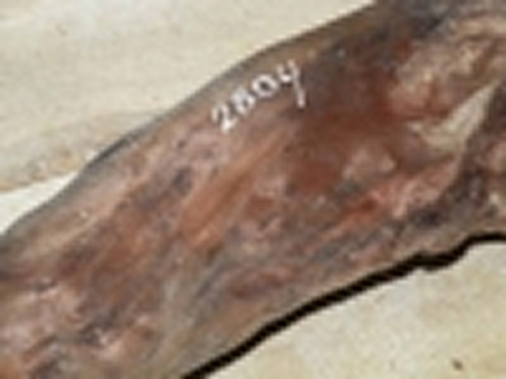 Roots-2011-23