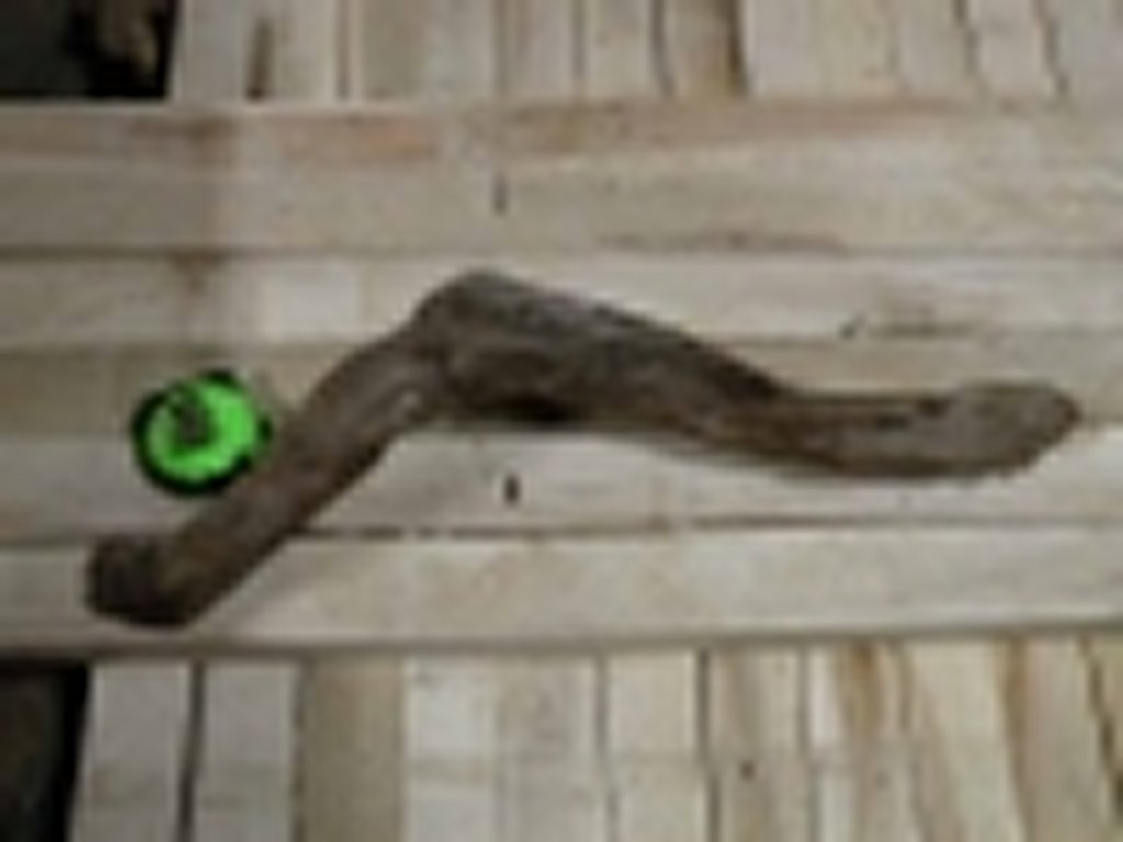 Roots-2011-25