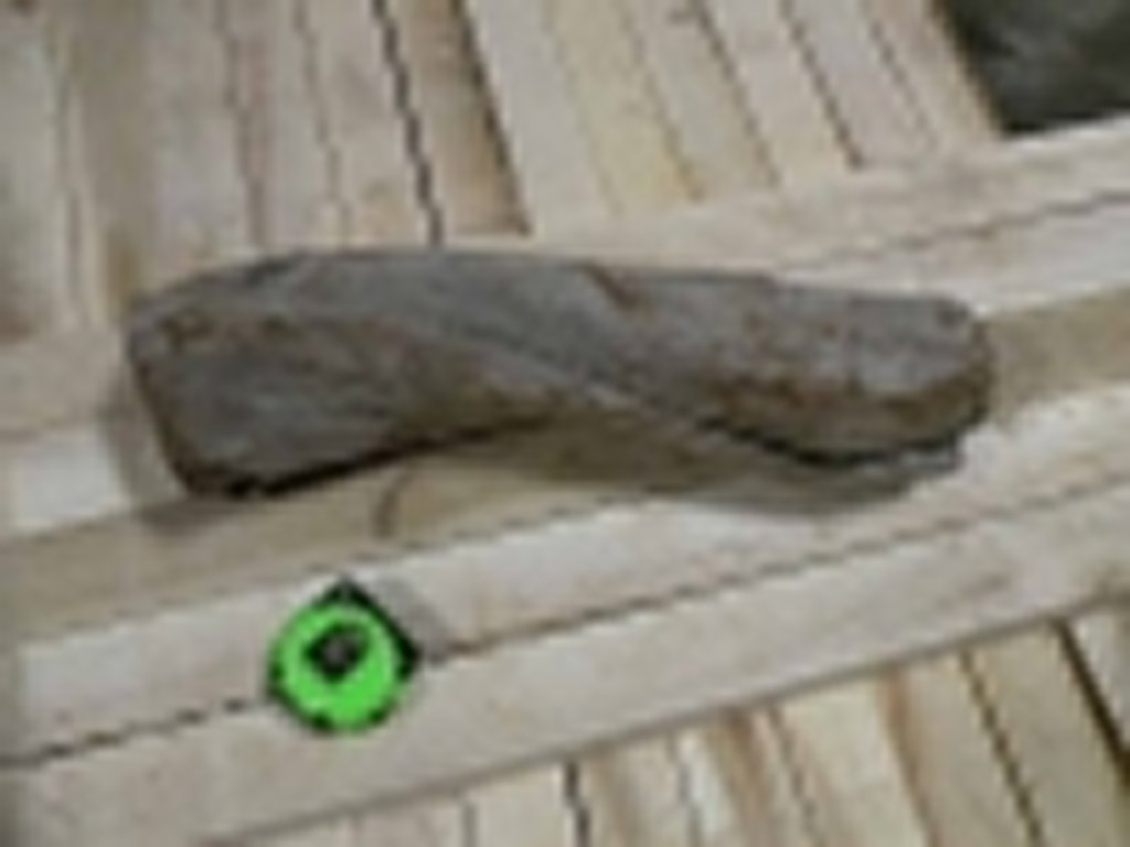 Roots-2011-26