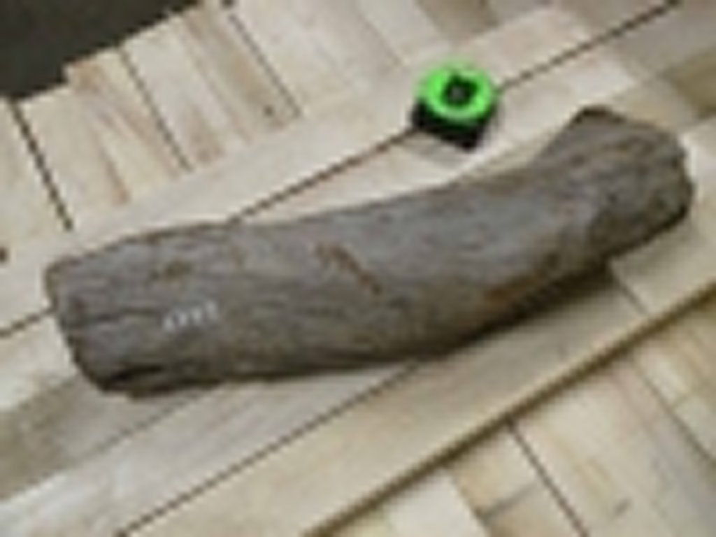Roots-2011-27