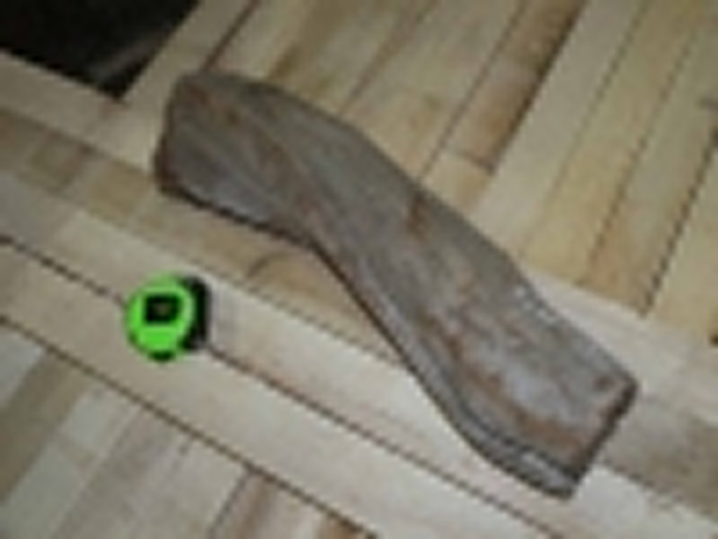 Roots-2011-28