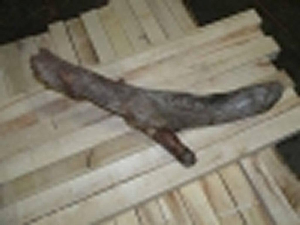 Roots-2011-3