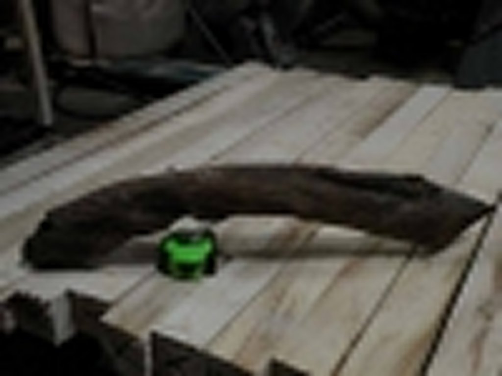 Roots-2011-32