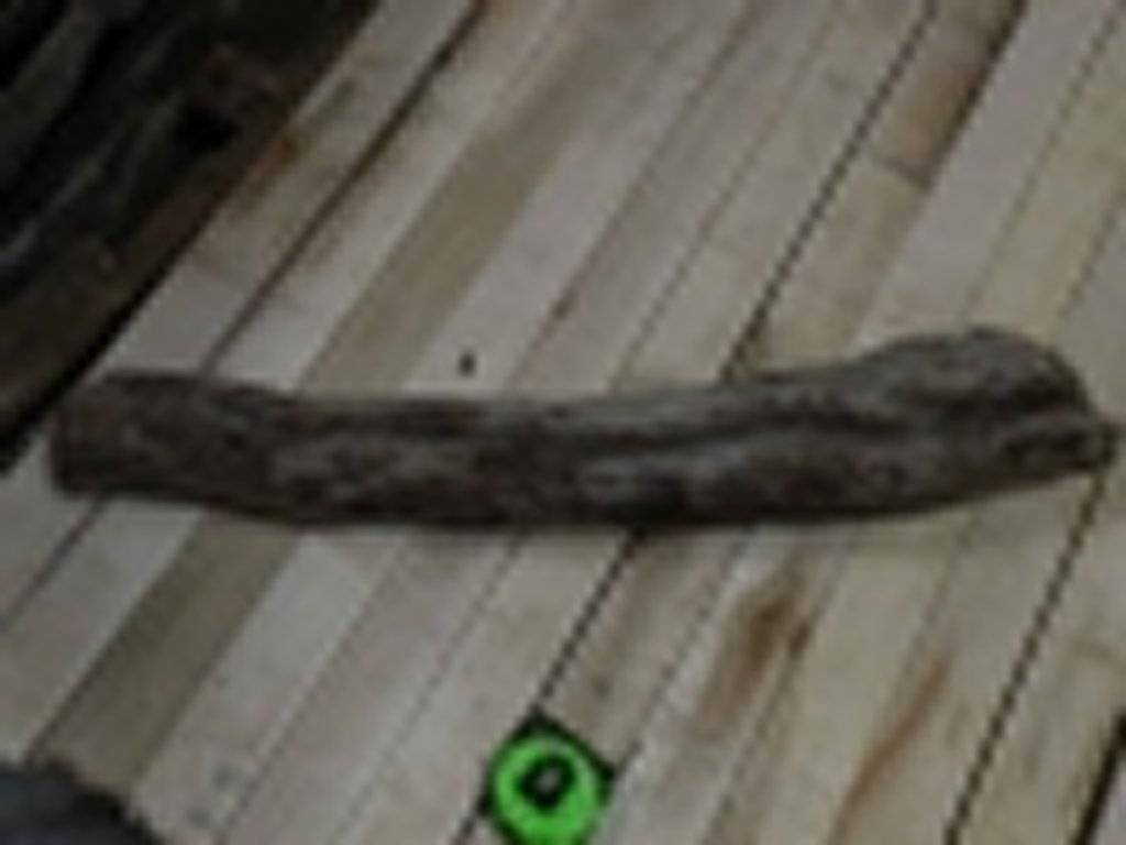 Roots-2011-39