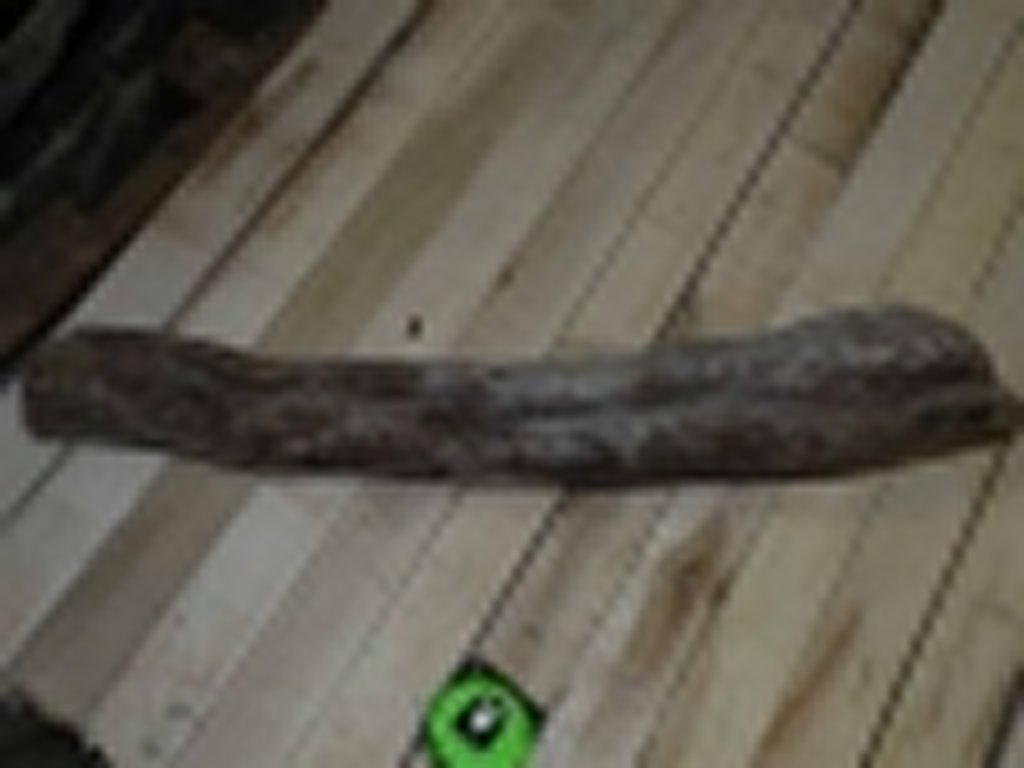 Roots-2011-40