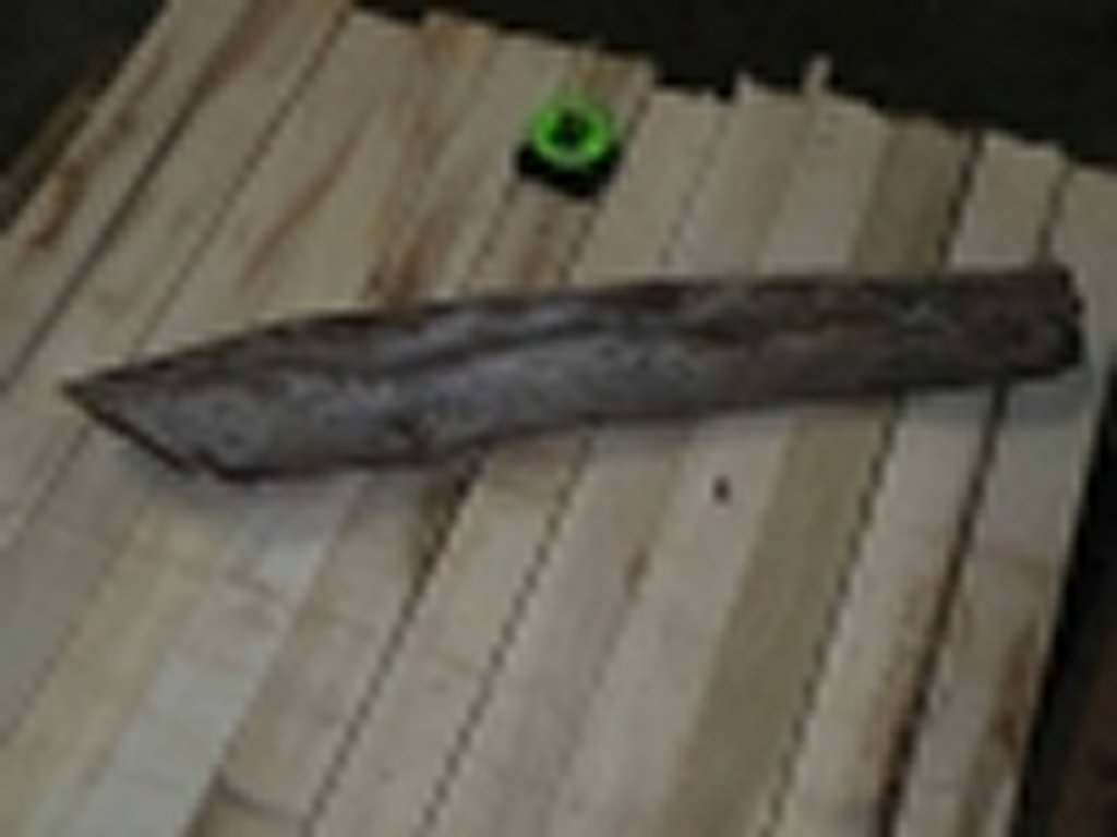 Roots-2011-41