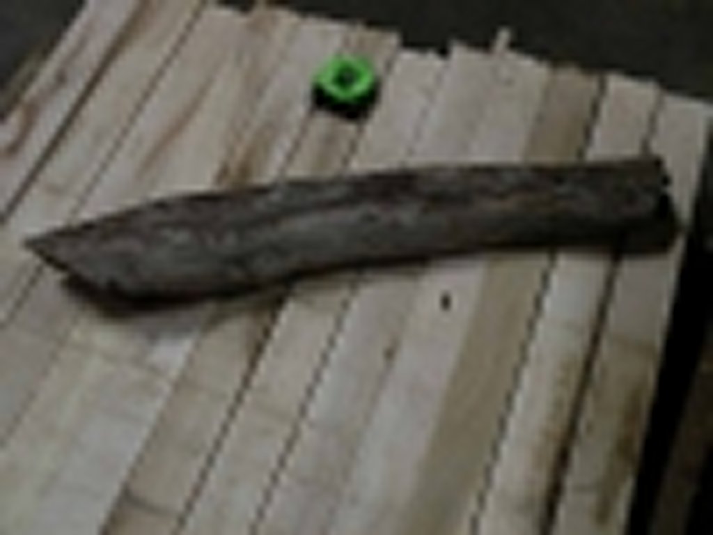 Roots-2011-42