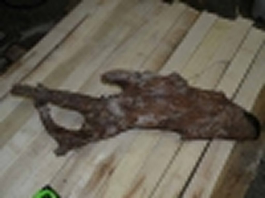 Roots-2011-46