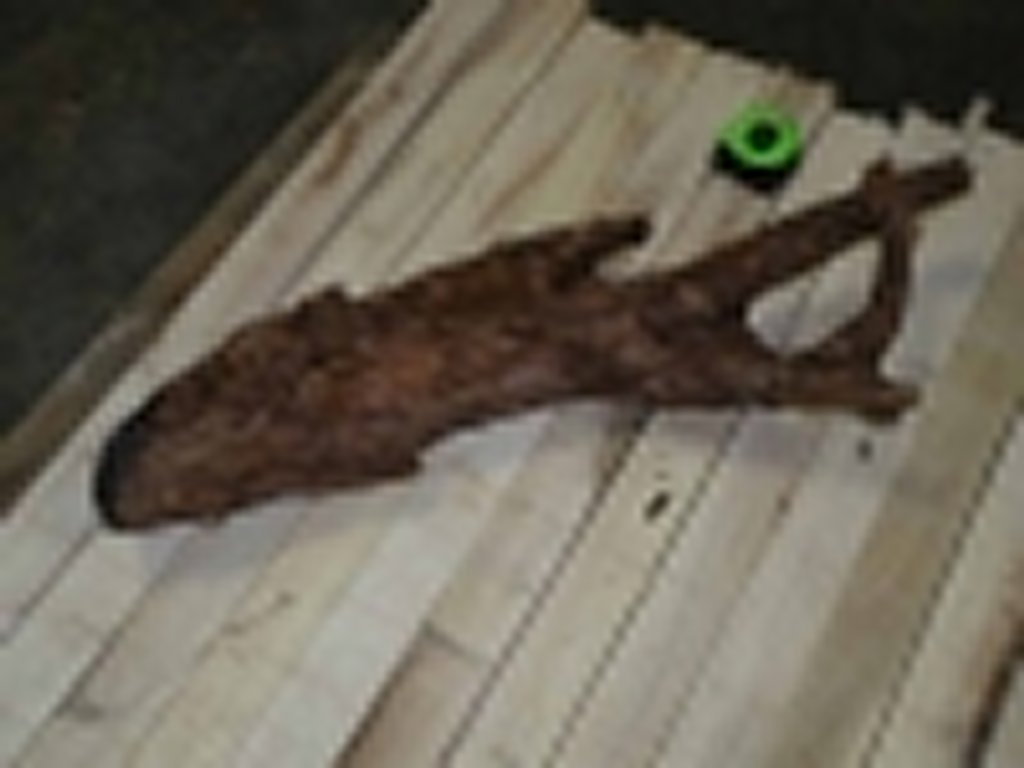 Roots-2011-48