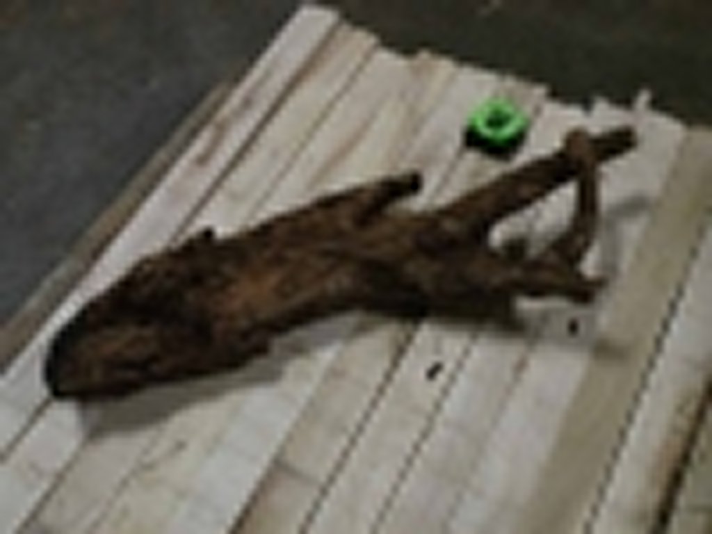 Roots-2011-49