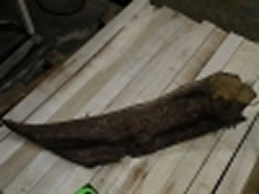 Roots-2011-51