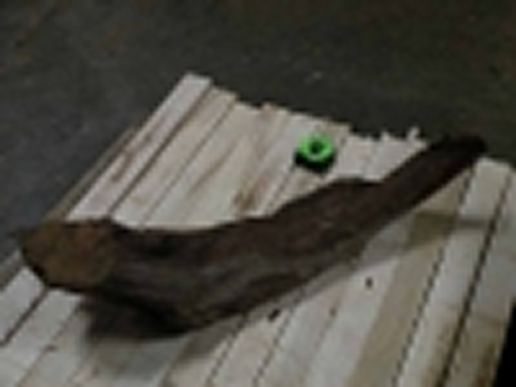 Roots-2011-52