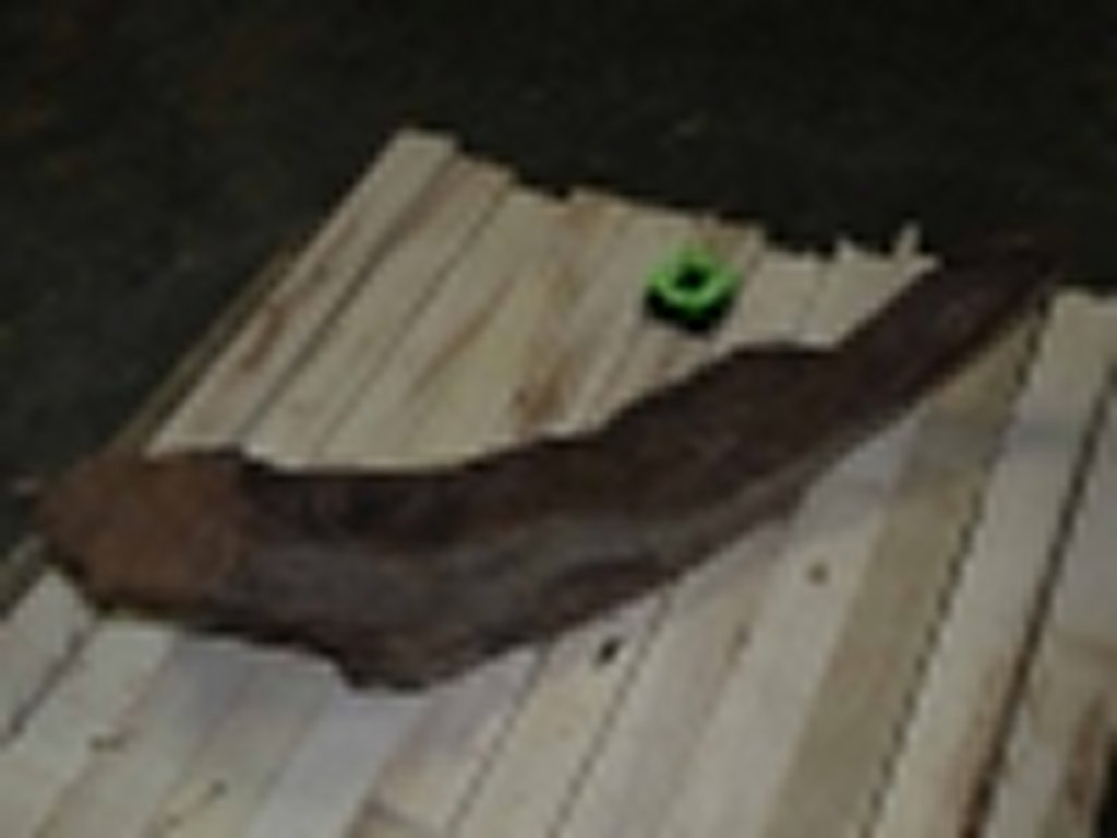 Roots-2011-53