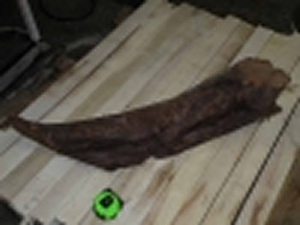 Roots-2011-54