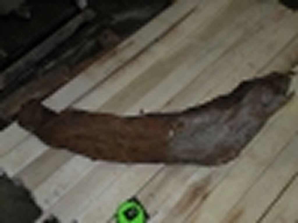 Roots-2011-55