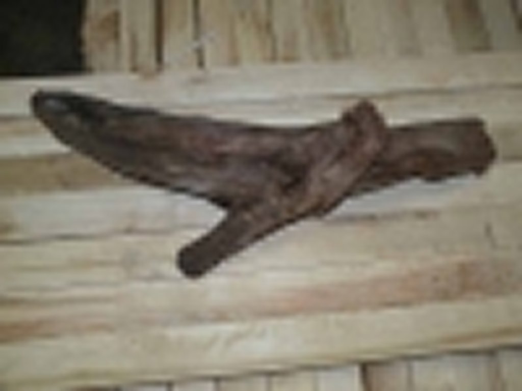 Roots-2011-6