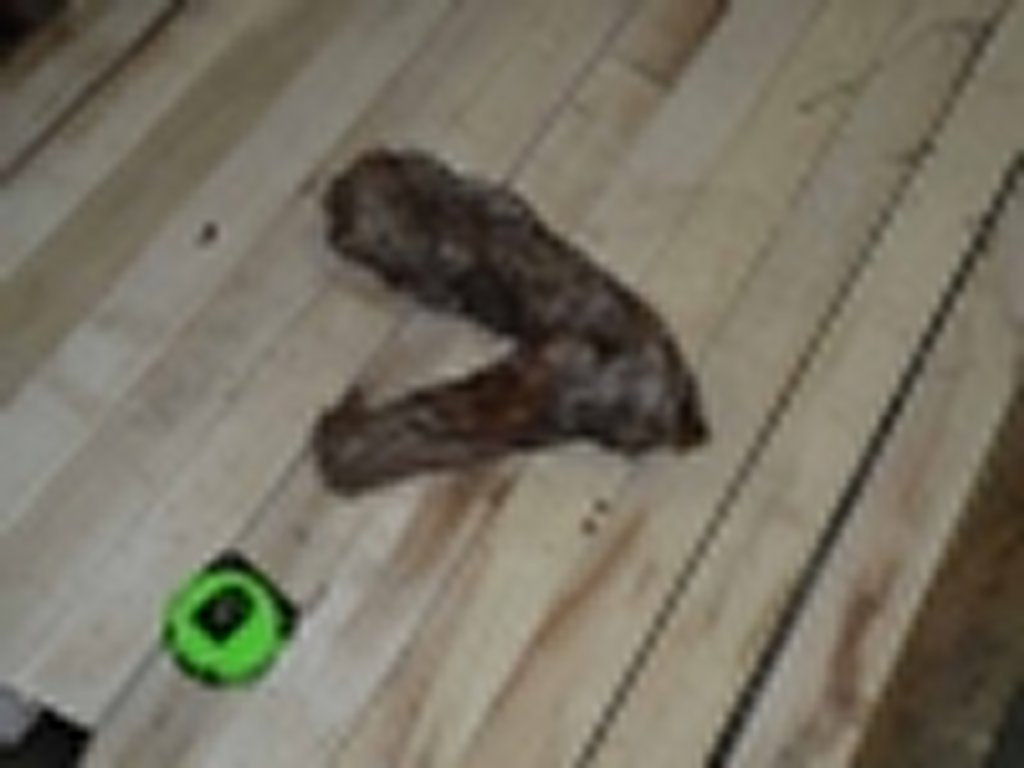 Roots-2011-60