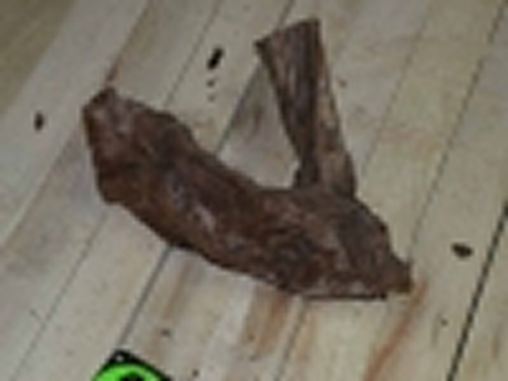 Roots-2011-64
