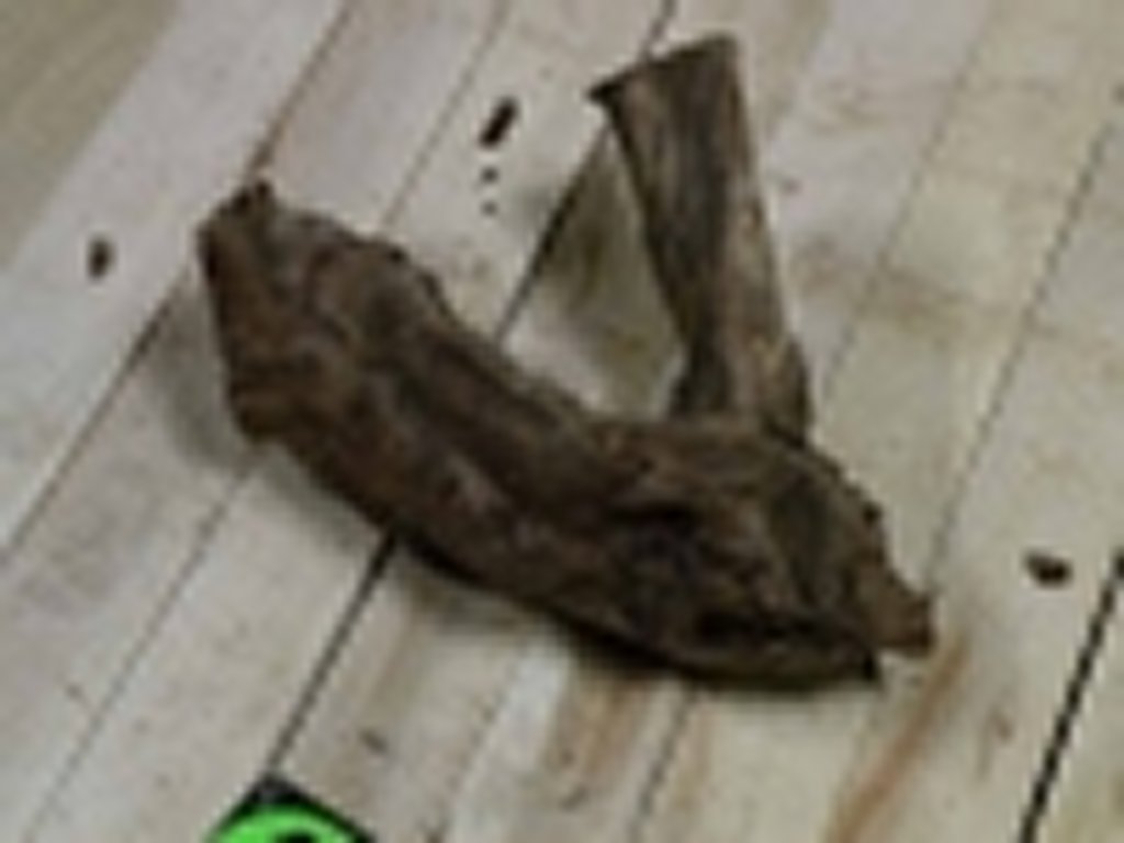Roots-2011-65