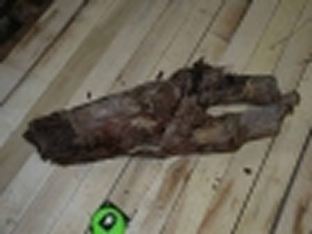Roots-2011-67