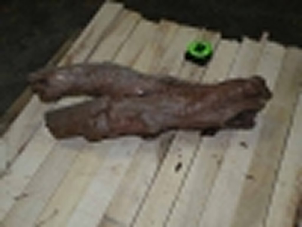 Roots-2011-71