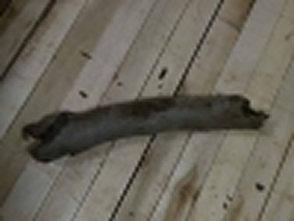 Roots-2011-74