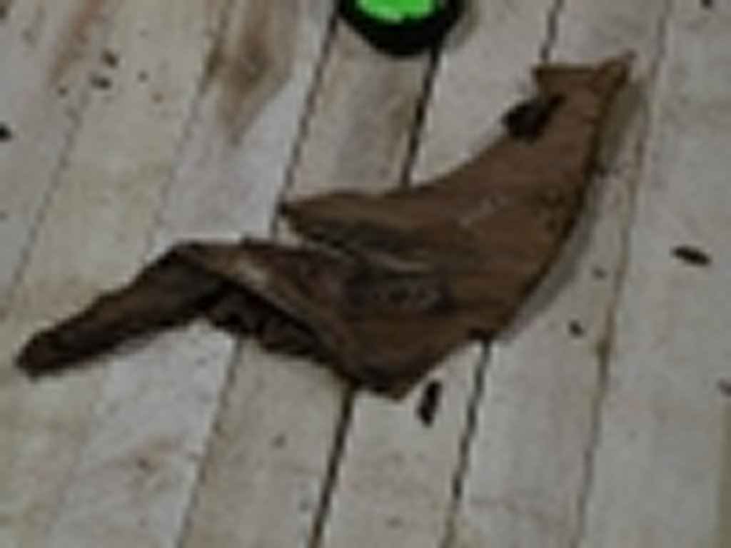 Roots-2011-85