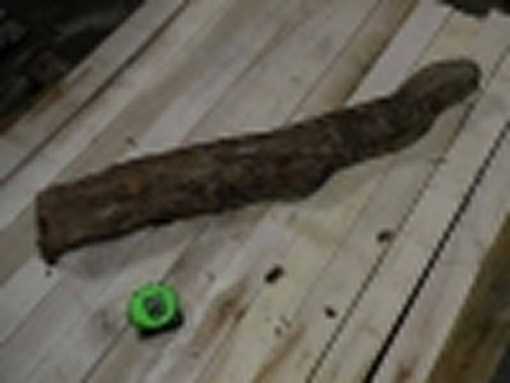 Roots-2011-90