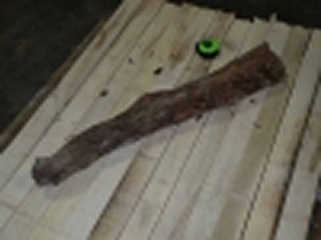 Roots-2011-92