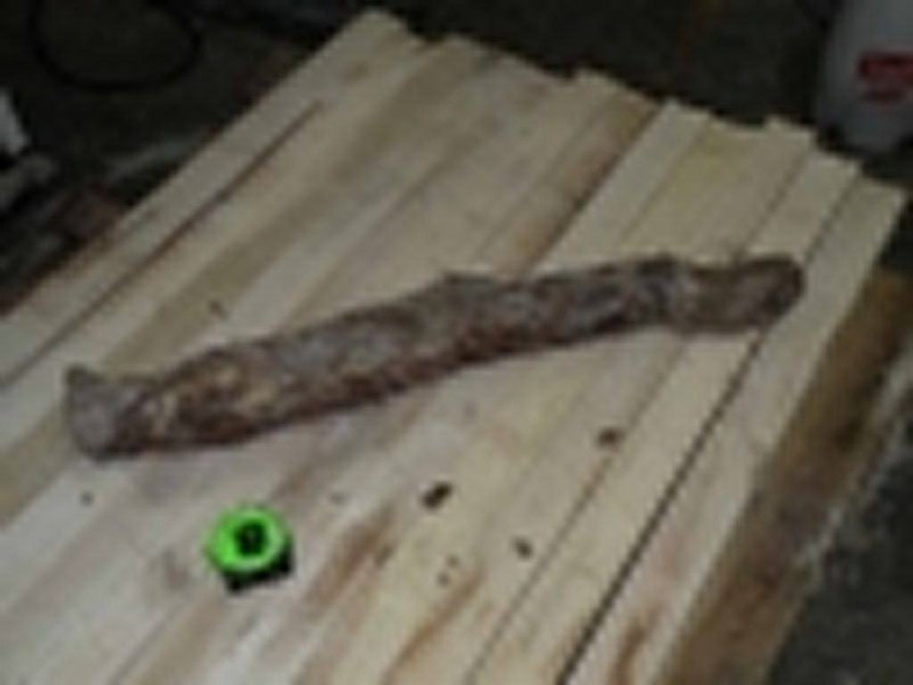 Roots-2011-96