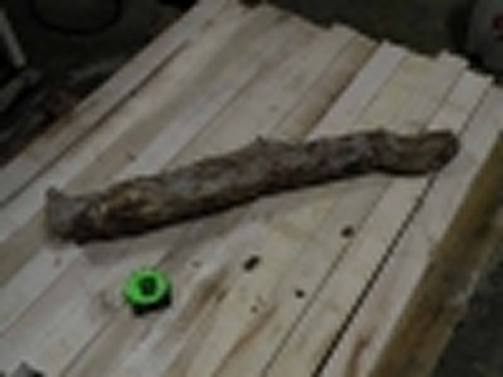 Roots-2011-97