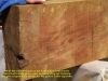 Big-timber-16