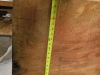 Big-timber-8