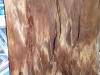 Dscn1108