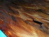 Dscn6398