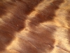Dscn7439