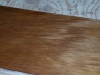 Dscn7460